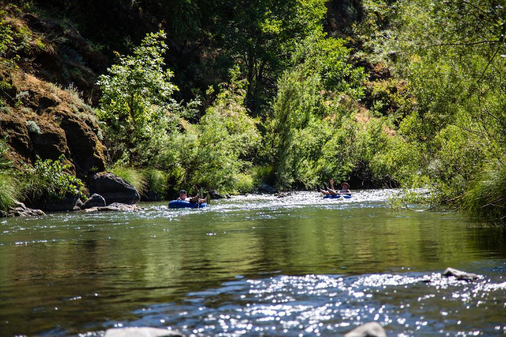 Russian River Camping Resort Cottage 7 Cloverdale Zewnętrze zdjęcie